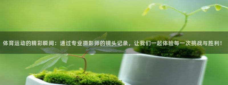 米兰体育官方下载入口