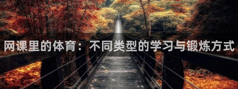 米兰体育综合官网：网课里的体育：不同类型的学习与锻炼方式