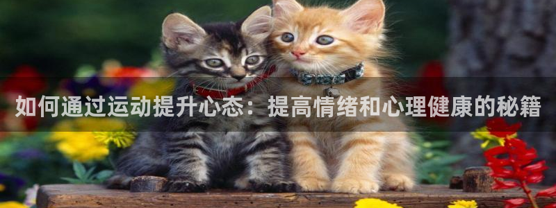 米兰体育官网