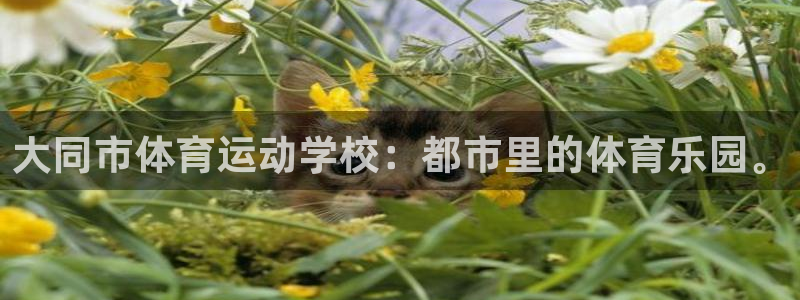 米兰体育官网入口：大同市体育运动学校：都市里的体育乐园。