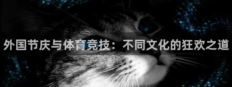 米兰体育下载：外国节庆与体育竞技：不同文化的狂欢之道