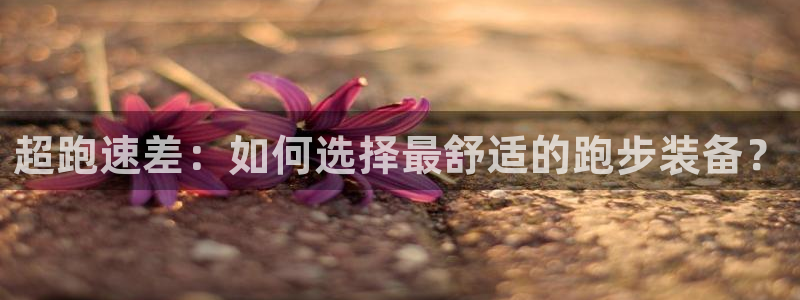 米兰体育官网入口：超跑速差：如何选择最舒适的跑步装备？