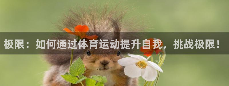 米兰体育怎么样：极限：如何通过体育运动提升自我，挑战极限！